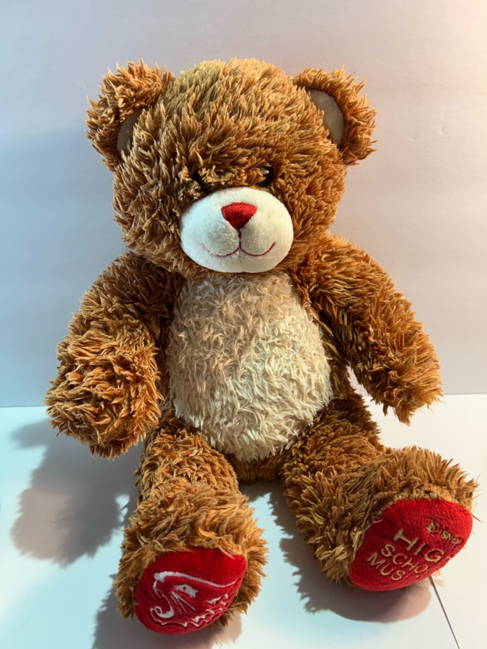 Build a Bear Disney High School Musical 15" Plush Stuffed Animal Brown Bear